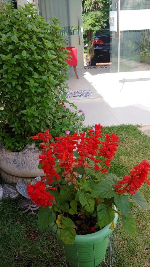 Casal Ostara Begonia Hotel Alto Paraíso de Goiás Екстериор снимка